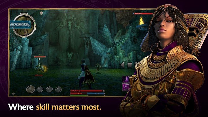 Guild Wars® Reforged screenshot